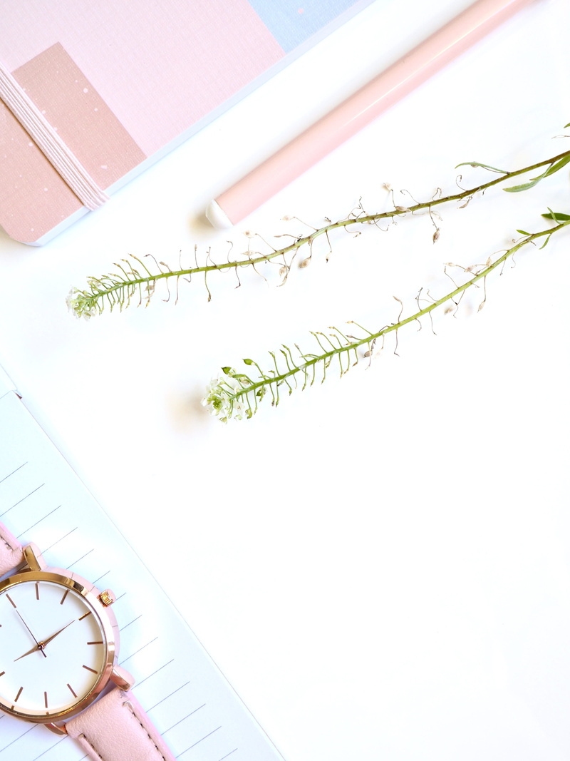 flatlay, clock, write, close-up, paper, table, education, still life, studio shot, plant, personal accessory, flower, high angle view, indoors, nature
