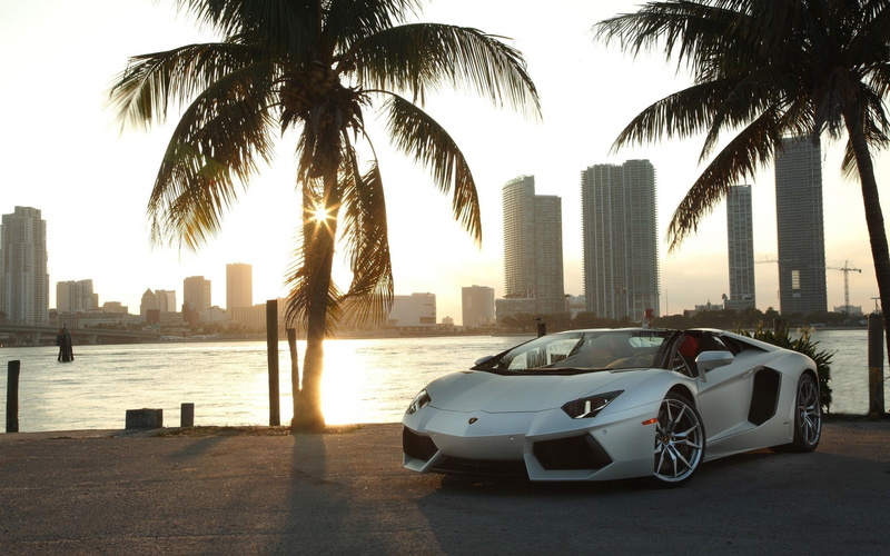 outdoors, palm tree, built structure, city, nature, luxury, plant, land vehicle, architecture, building exterior, mode of transportation, water, tall - high