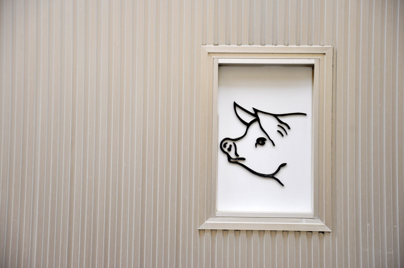 art and craft, emblem, street, big, paper, vertebrate, close-up, minimal, streetart, pattern, 4K, representation, door, animal representation, fun, no people