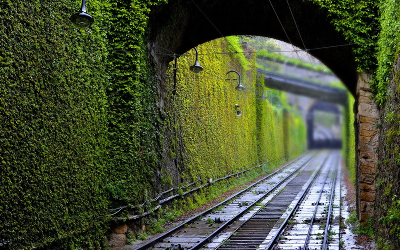 nature, rail transportation, connection, 1080P, built structure, railroad track, tunnel, photography, outdoors, plants, green color, depth of field, day