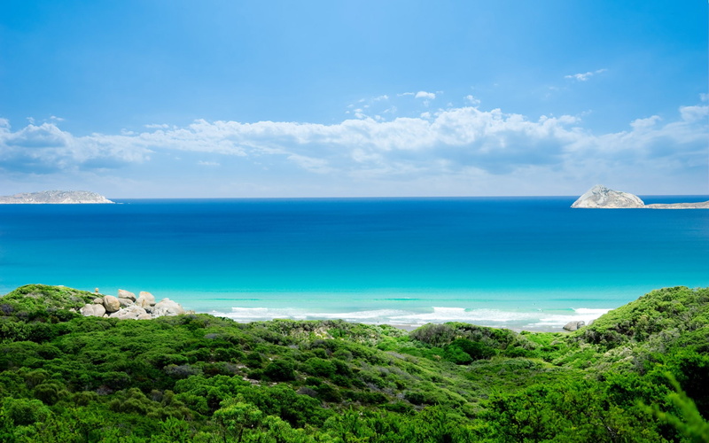 plants, blue, rock, cloud - sky, horizon over water, sky, outdoors, idyllic, water, green color, 1080P, tranquility, tranquil scene, beach, coast, non-urban scene