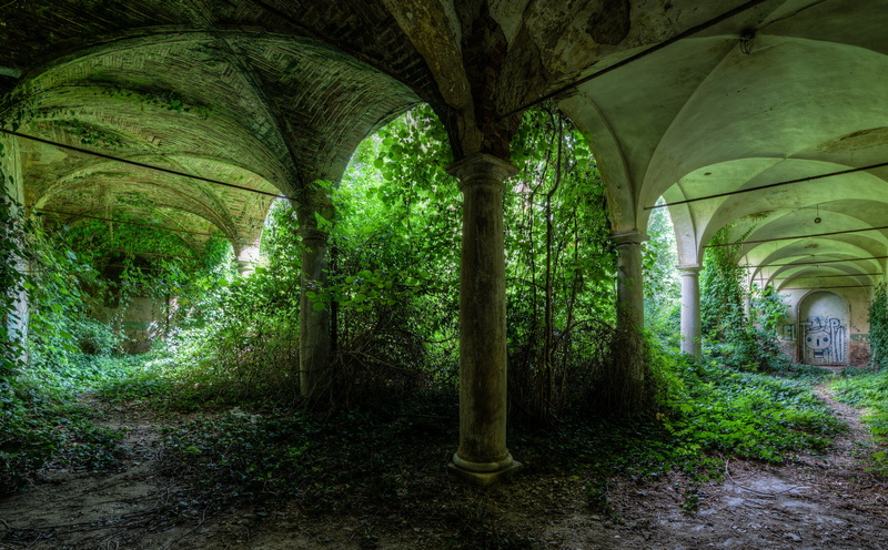 5K, places, architectural column, Plants, Italy, Chieri, Vines, no people, green color, built structure, tunnel, Green, Abandoned, gray, growth, Wall