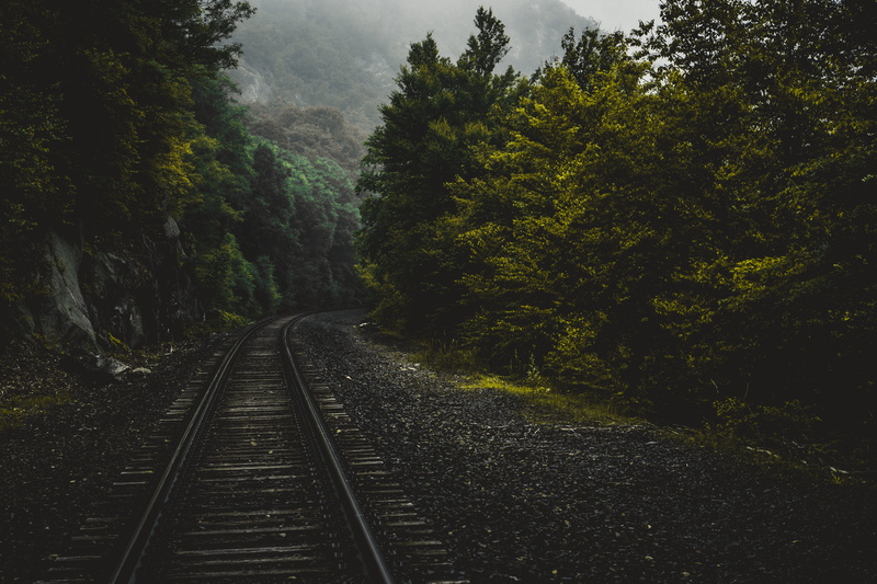 transportation, tranquility, green color, trailway, train, hike, morning, railroad, plant, nature, tranquil scene, connecticut, rail transportation, adventure