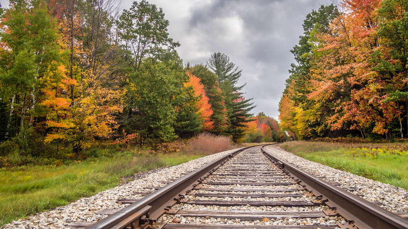 landscape, mirrorless, outdoors, panasonic 14mm, foliage, rail, train tracks, nature, transportation, type  location, landscapes, RR, forest, Michigan