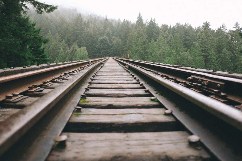 outdoors, land, surface level, railroad track, day, rural, track, beauty in nature, vanishing point, rail transportation, forest, middle, no people, black