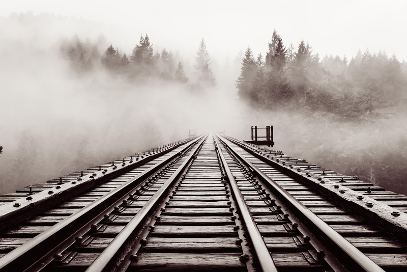 trees, black and white, direction, nature park, aesthetic, diminishing perspective, old, railroad track, outdoors, vancouver island, wooden boards, moody