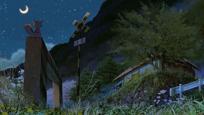 Children Who Chase Lost Voices, 1080P, Movie
