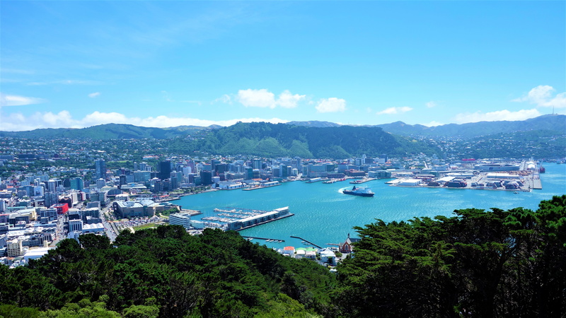 5K, New Zealand, Wellington