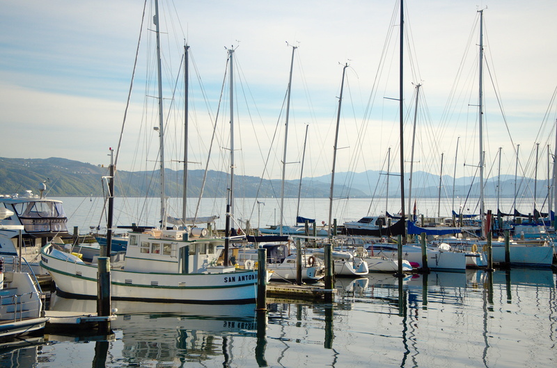 transportation, mode of transportation, harbor, dock, nautical vessel, pole, yacht, harbour, sky, day, reflection, water, new zealand, wellington waterfront walk