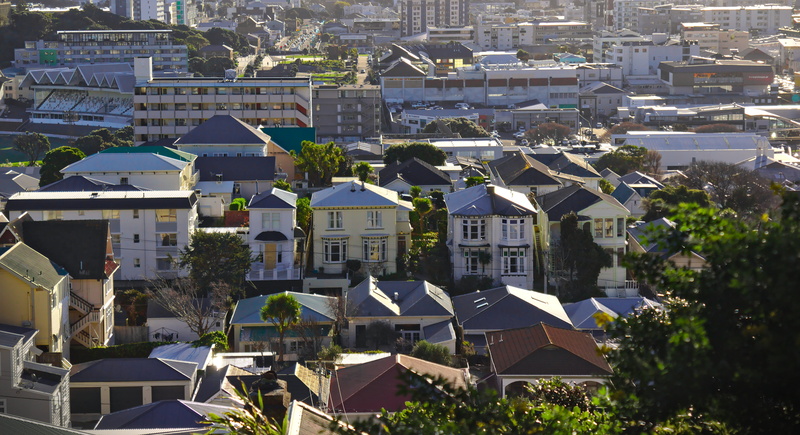 housing, roof, property, high angle view, sunlight, city, residential district, apartment, built structure, wellington, tree, building, townscape, cottage