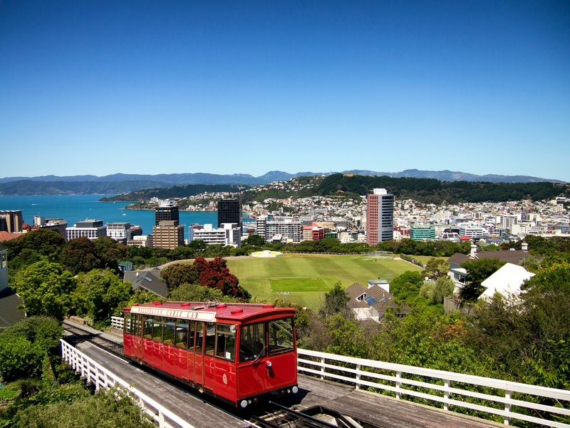 harbor, building exterior, building, mountain, wellington, plant, outdoors, built structure, buildings, urban, nature, daytime, clear sky, no people, sky