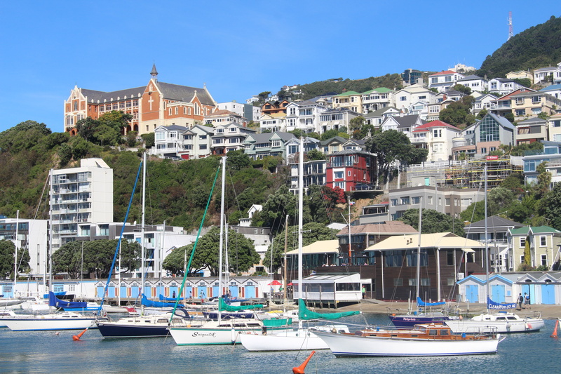 coast, marina, port, city, sailing vessel, center, harbor, sailing boat, outdoors, building, luxury, transportation, nature, built structure, lot, residential district