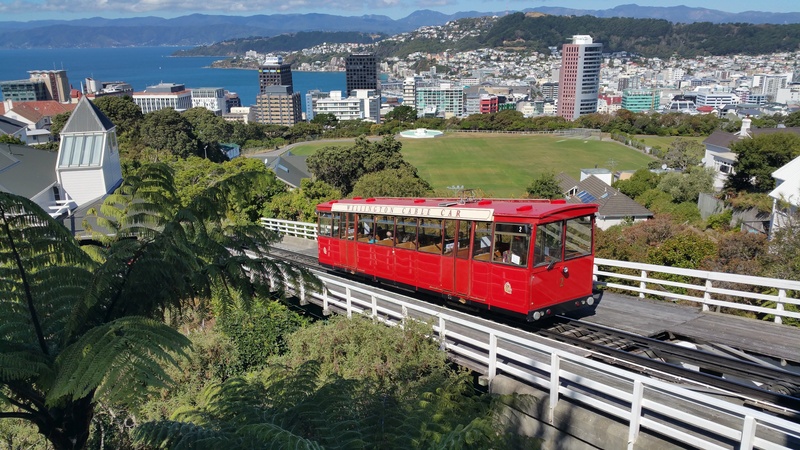 red, transportation, tree, track, travel, mountain, capital, town, railroad track, wellington, cable Car, famous, rail transportation, train, city, cityscape