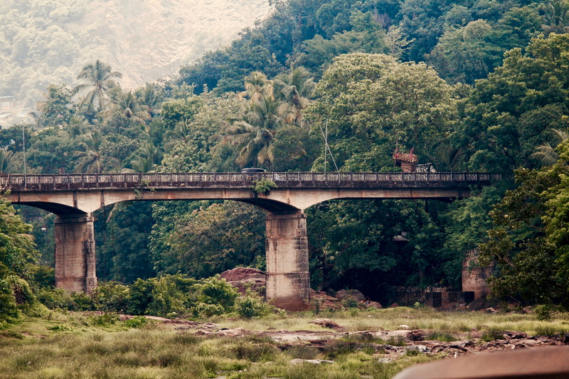 no people, green color, built structure, photographic locations, architectural column, olden architecture, connection, plant, growth, kottayam, land, transportation