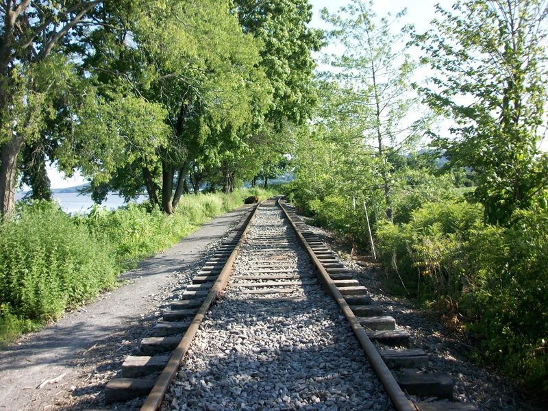 locomotive, vanishing point, wilderness, travel, view, plant, diminishing perspective, scenery, transport, environment, no people, land, railroad track