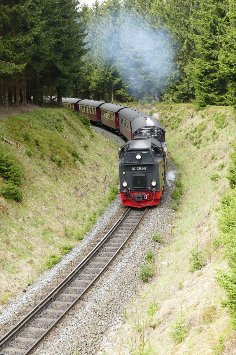 Gauge, outdoors, forest, train - vehicle, station, engine, rail transportation, travel, smoke - physical structure, people Traveling, train, transportation