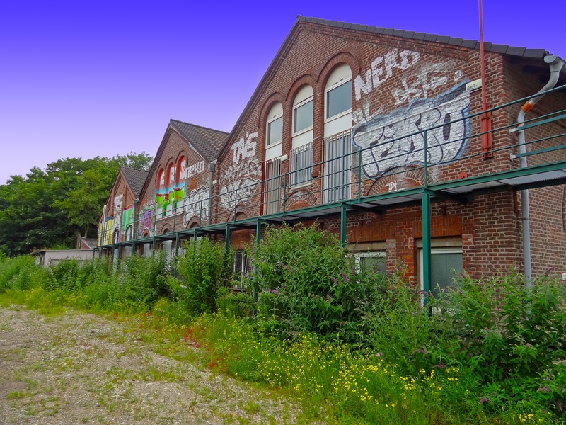 plant, old, tree, no people, house, 2K, wall, nature, fallow land, clear sky, wild, leave, window, brick construction, weed, green color, outdoors, residential district