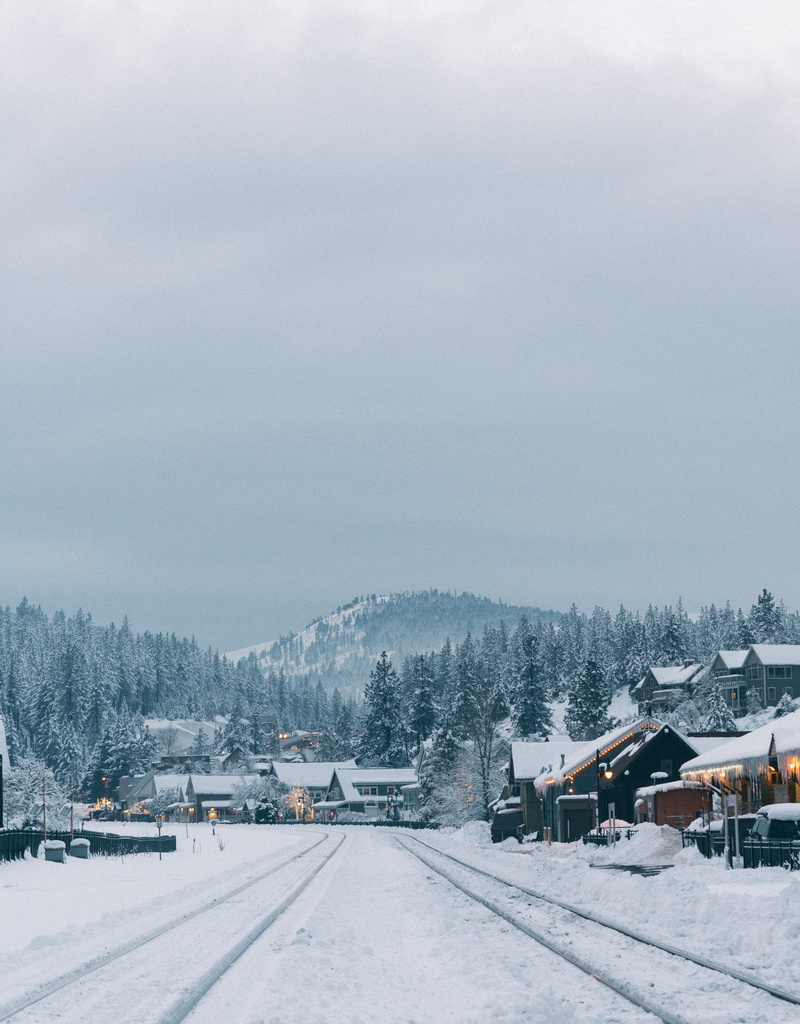 covering, city, forest, downtown, snow, no people, beauty in nature, city light, white color, house, built structure, scenics - nature, outdoors, tree