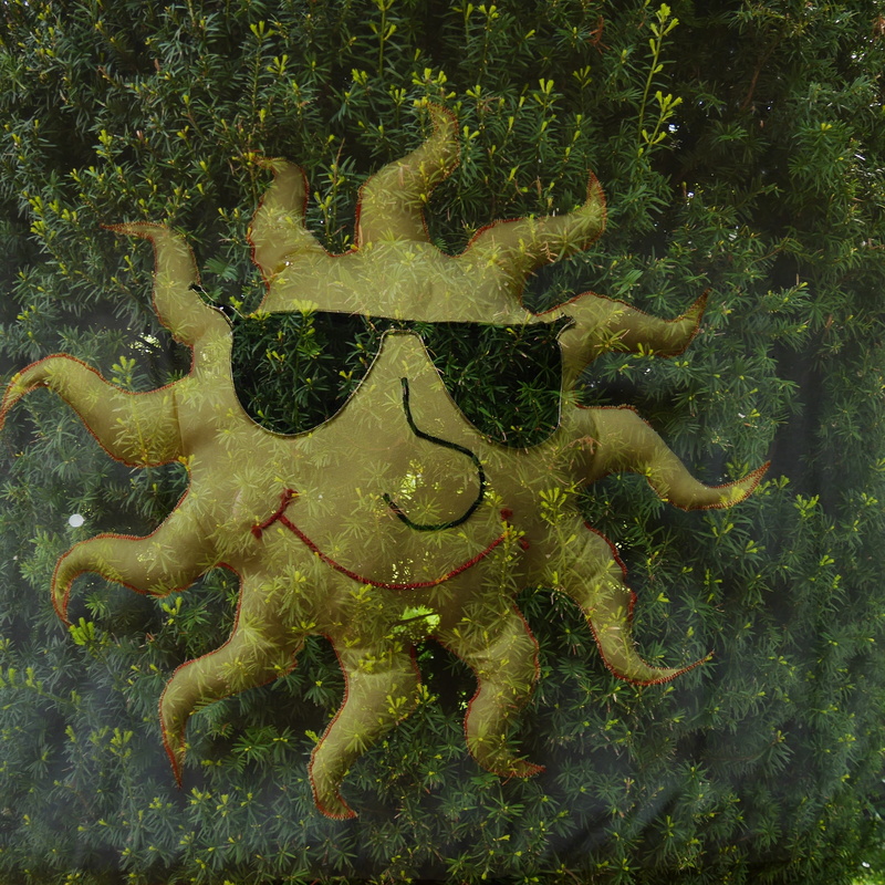 pillow, double exposure, marine, underwater, boxwood, nature, green color, sea life, sun, transparent, undersea, animal, sea, hand labor, outdoors, plant