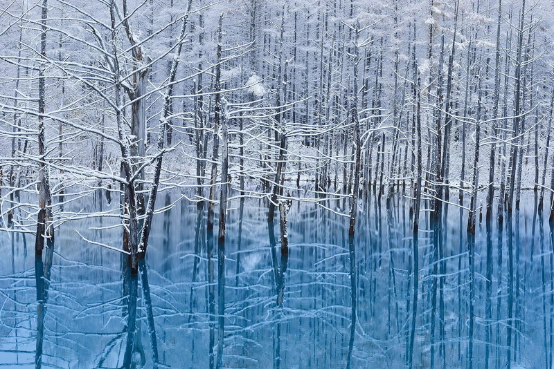 ice, outdoors, close-up, frozen, non-urban scene, backgrounds, water, Japan, beauty in nature, land, bare tree, snow, reflection, Hokkaido, plant, baretree