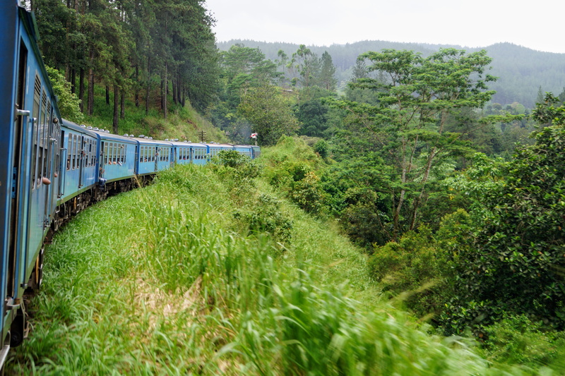 train, train - vehicle, travel, passenger train, ella, nawalapitiya, plant, railway, green color, day, mode of transportation, kandy, growth, kandy to ella