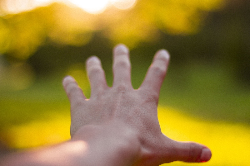 human finger, forest, autumn, real people, human hand, sunlight, hand, child, regrets, human foot, close-up, trees, plant, one person, nature, lifestyles
