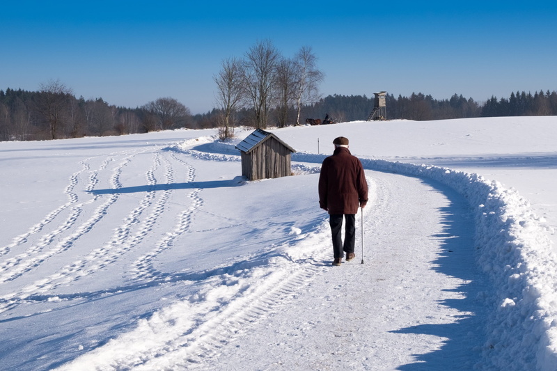 one person, cold temperature, human, field, rear view, beauty in nature, men, 2K, snow, tree, land, outdoors, real people, leisure activity, nature, walk