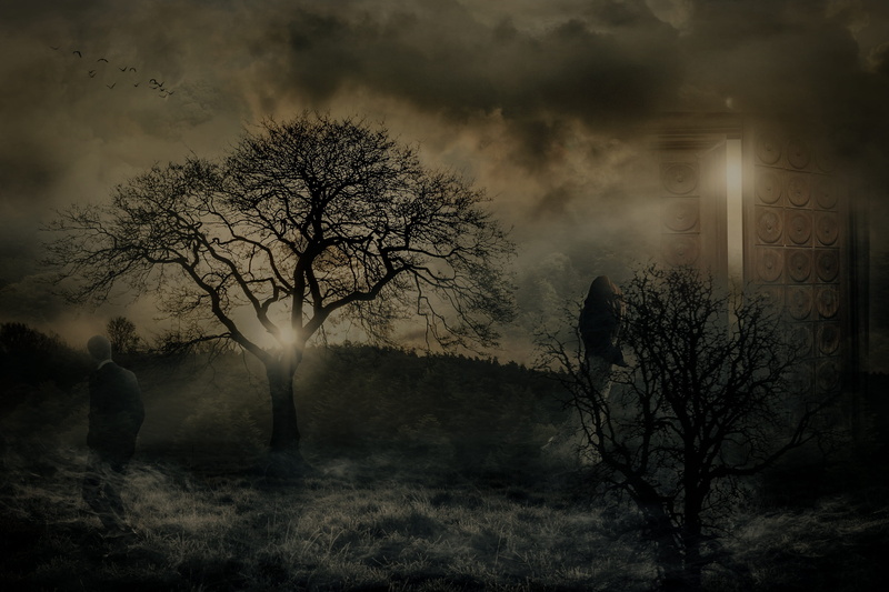 plant, pain, mysterious, outdoors, scenics - nature, mystical, nature, tranquility, land, environment, branch, field, farewell, cloud - sky, separation
