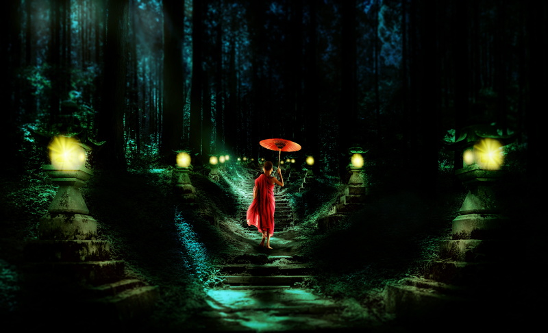 light, bright, stairs, buddhist, lighting equipment, communication, illuminated, farewell, trees, monk, outdoors, forest, gloomy, red, road sign, path