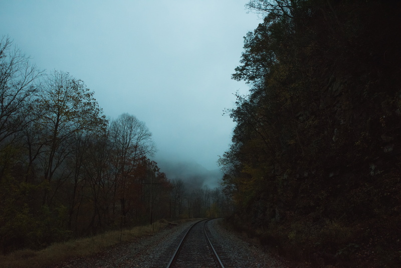 scenics - nature, rail transportation, sky, growth, way, the way forward, plant, scenics, railway, tranquility, line, vanishing point, track, cloudy, perspective