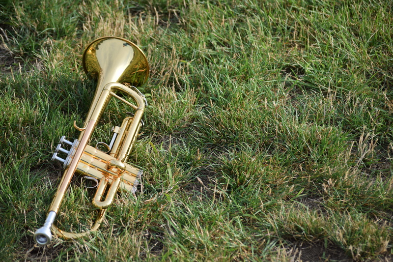 day, plant, land, music, brass instrument, metal, field, outdoors, gold colored, background, trumpet, brass, growth, grass, horns, no people, high angle view
