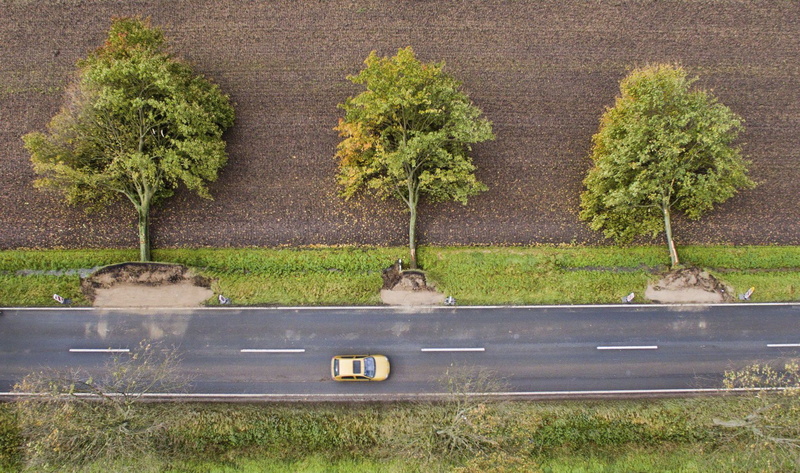 animal themes, day, drone photo, sign, built structure, 1080P, environment, mammal, trees, text, birds eye view, architecture, no people, high angle view