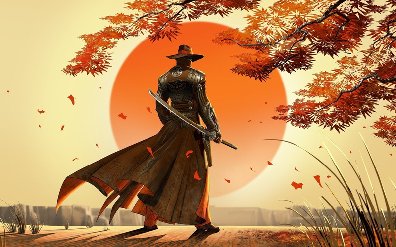 Video Game, Red Steel 2, 1080P