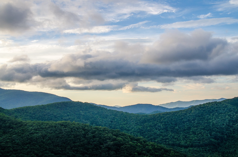 tree, tea crop, plant, sky, day, mountain, nature, landscape, clouds, idyllic, tranquility, beauty in nature, north carolina, green color, 4K, tranquil scene