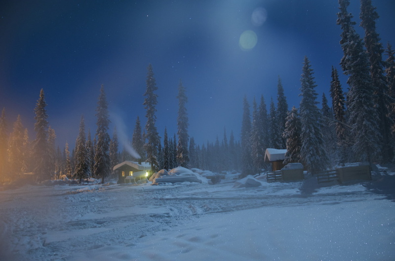 trees, snow, Kiruna, winter, Sweden, 1080P, village, Lapland, night