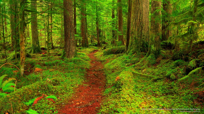 baker, washington, snoqualmie, 2K, mt, trail, lake, national, Nature, forest