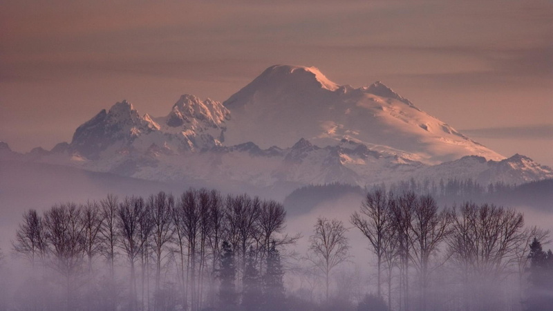 most, nature and landscapes, baker, trees, mount, washington, 1080P, wondrous, mountain, winter