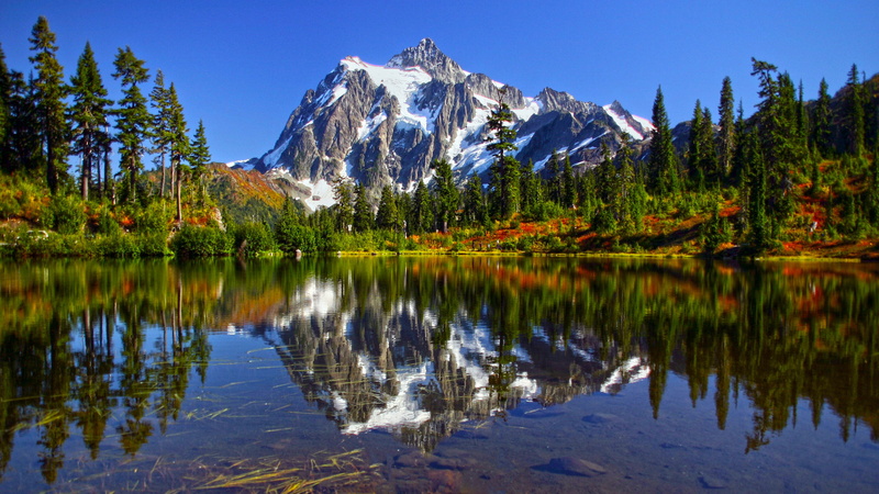 reflection, massif, mount, plant, outdoors, pine tree, nature, 4K, day, lake, land, idyllic, travel destinations, county, whatcom, scenics - nature, national