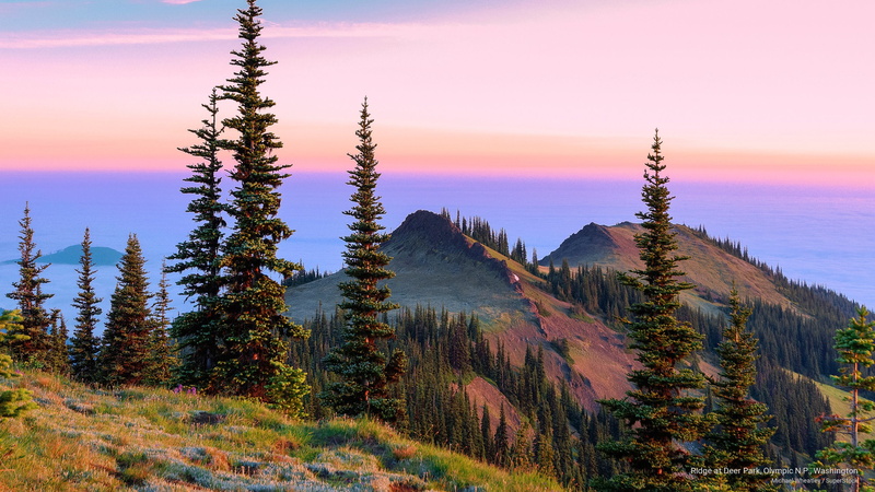 washington, n, deer, p, olympic, park, 2K, ridge, Mountains