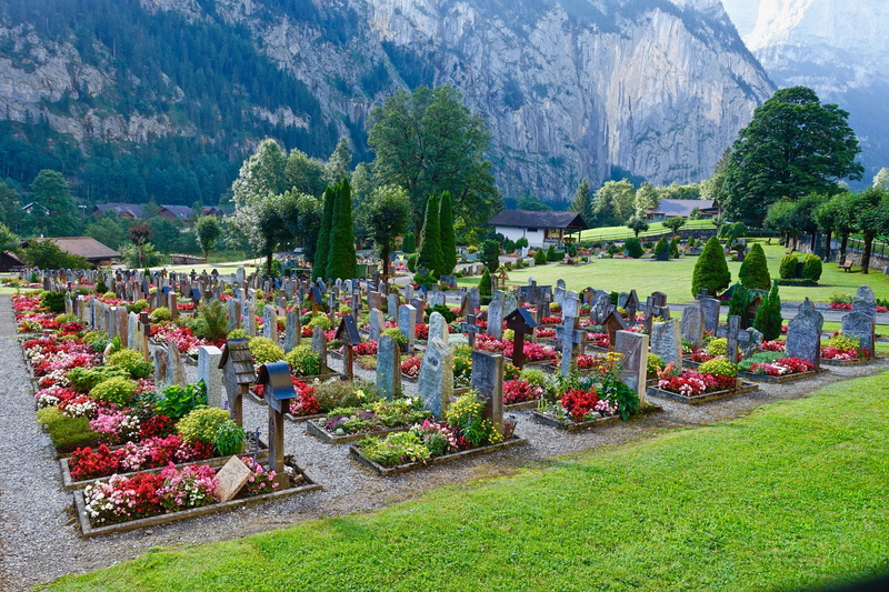 panorama, grass, day, outdoors, scenics - nature, tranquility, tree, growth, beauty in nature, grave, 5K, no people, alps, tombstone, memorial, lauterbrunnen