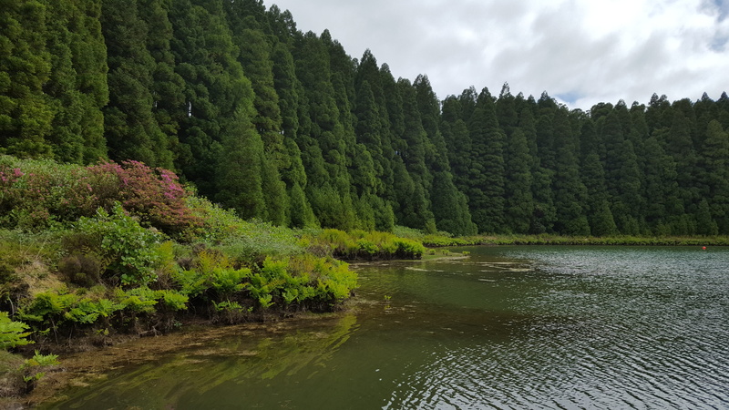 scenics - nature, plant, day, 5K, outdoors, flowing water, gorgeous, green color, no people, waterfront, lake, san miguel, water, idyllic, sky, background