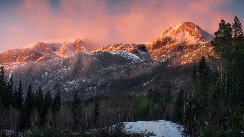 sunset, forest, environment, alps, cloudy, travel, pine woodland, snow, mountain, massif, norway, wilderness, coniferous tree, nature, winter, evergreen tree
