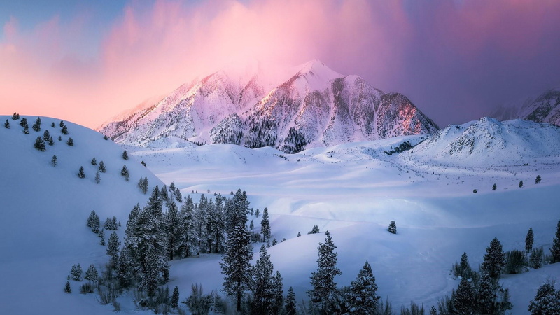 mountain range, sierras, no people, 1080P, environment, snowcapped mountain, cloud - sky, tranquil scene, mountain, tranquility, purple, coniferous tree