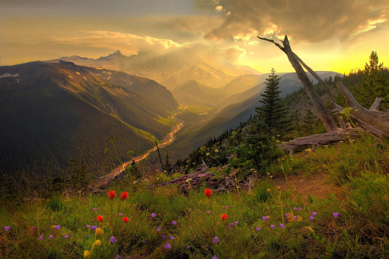 land, clouds, sunlight, petaled, mountain, sky, river, mountain peak, plant, mountains, mountain range, flower, growth, purple, 1080P, outdoors, nature