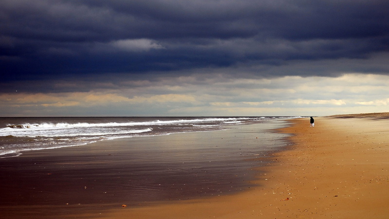 shore, ocean, overcast, waters edge, land, beach, sea, 1080P, summer, water, landscape, environment, scenics - nature, outdoors, coast, sunny, bay, coastline