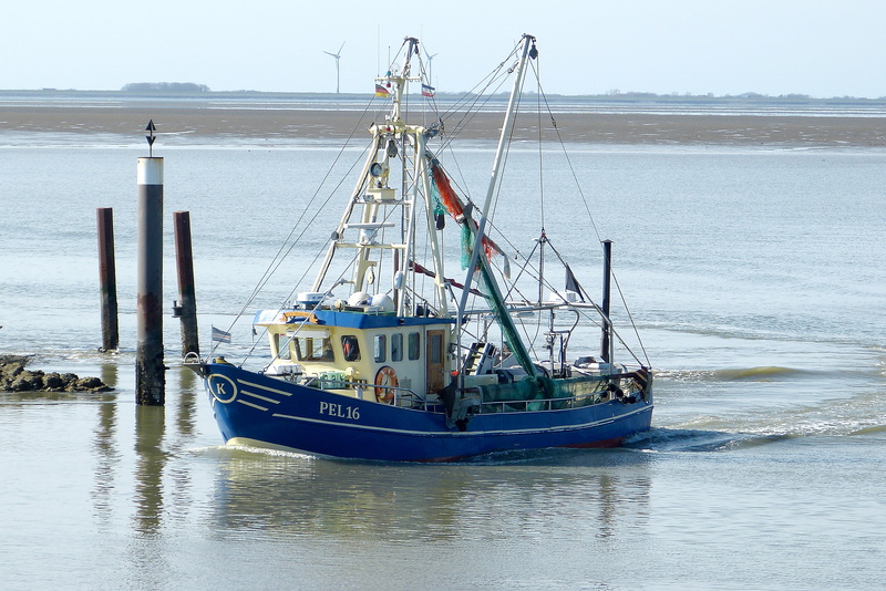 fishing, moored, sailboat, tranquility, pole, outdoors, fischer, day, hallig, north beach, cutter, port, commercial dock, nautical vessel, sandbar, pier
