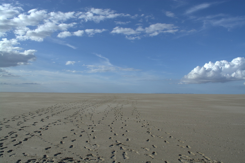 sand, scenics, beach, scenics - nature, environment, horizon, climate, land, arid climate, nature, tranquility, cloud - sky, salt flat, non-urban scene