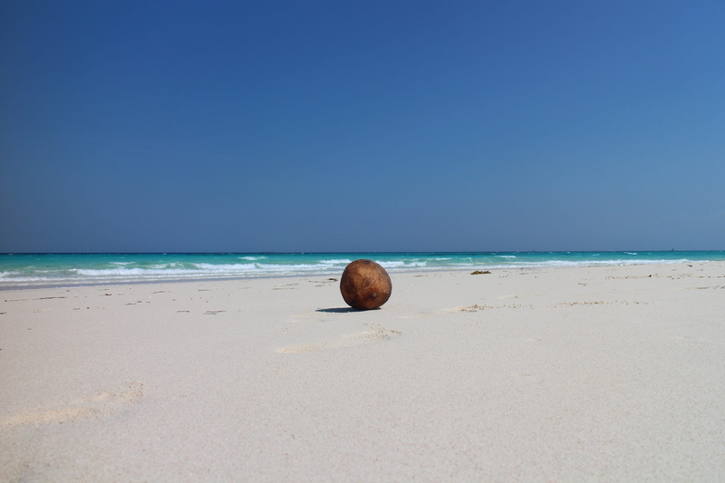 clear sky, Exotic, view, lake, land, outdoors, sandbar, palm, beauty in nature, horizon, 5K, paradise, blue, day, sea, nature, zanzibar, scenics - nature