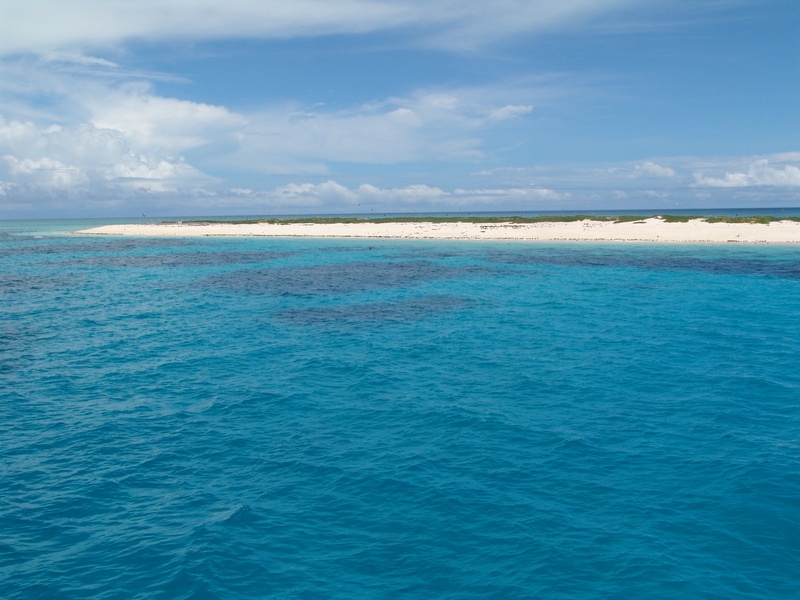 scenics - nature, pacific, beauty in nature, diving, no people, surrounded, turquoise colored, waterfront, horizon, sandbar, great barrier reef, 2K, land