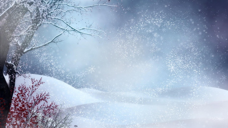 white, early, blowing, 1080P, snow, 3d, snowing, peaceful, cold, quiet, firefox persona, artwork, snowflakes, berries, winter, tree